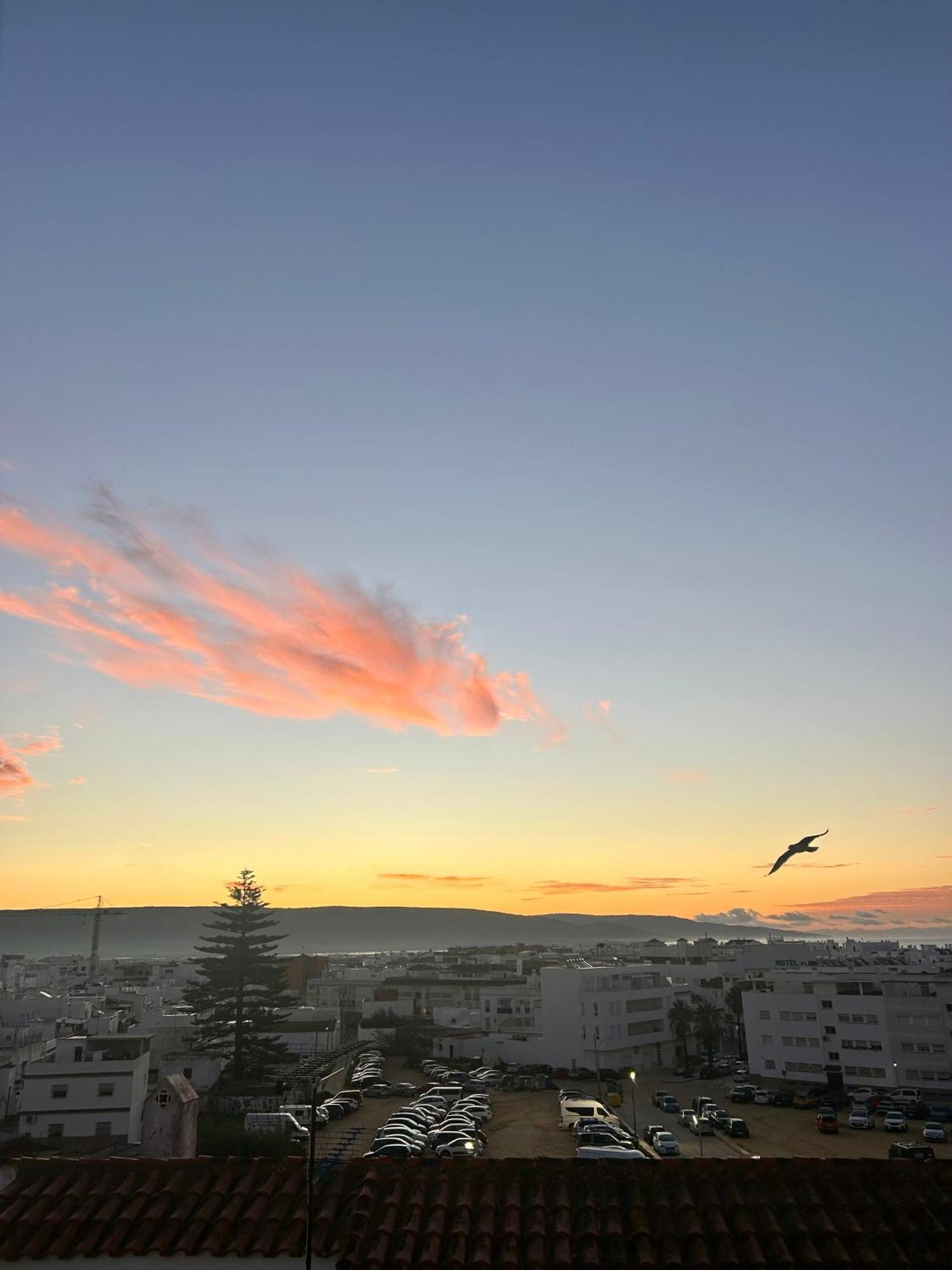 Apartamento Avenida De La Mar バルバテ エクステリア 写真
