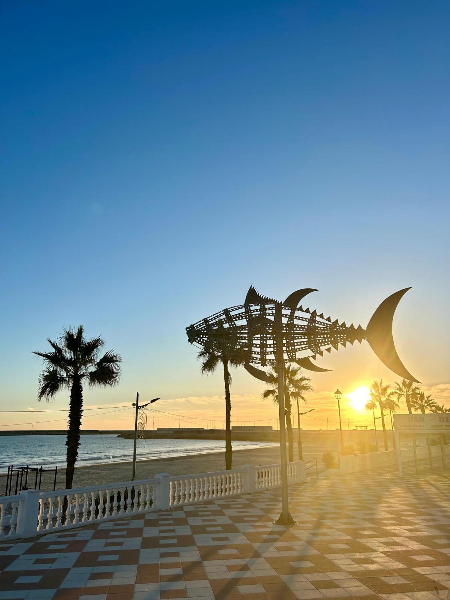 Apartamento Avenida De La Mar バルバテ エクステリア 写真